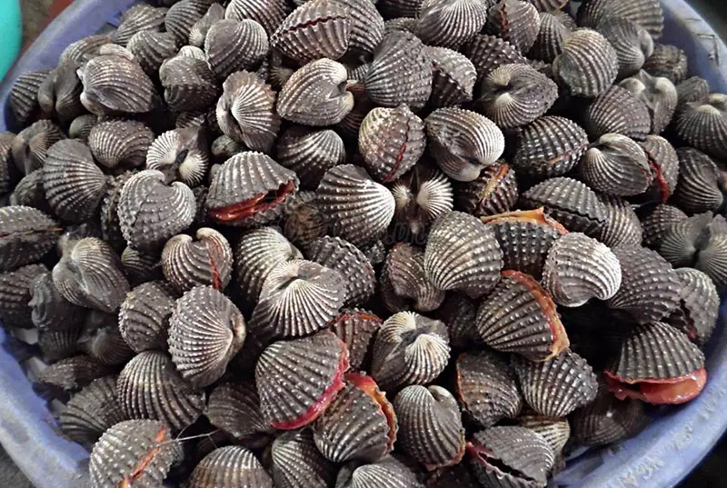Biển B&igrave;nh Đại Bến Tre, tọa độ trốn n&oacute;ng l&yacute; tưởng dịp h&egrave; n&agrave;y 7