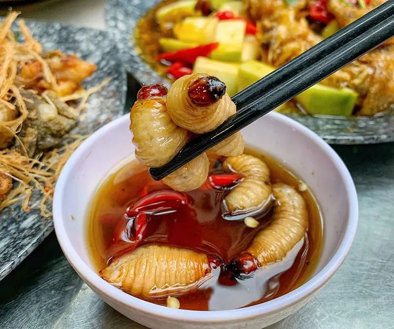 Biển B&igrave;nh Đại Bến Tre, tọa độ trốn n&oacute;ng l&yacute; tưởng dịp h&egrave; n&agrave;y 9