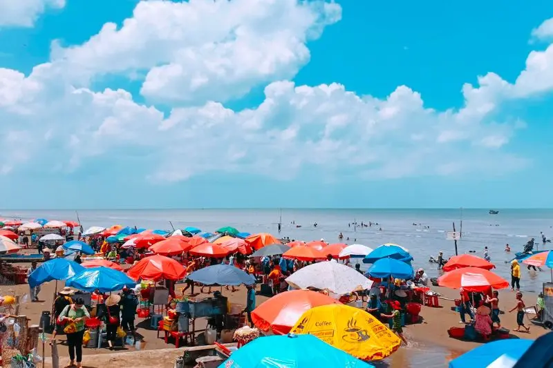 Biển Cồn Bửng Bến Tre nổi tiếng với n&eacute;t đẹp thuần tự nhi&ecirc;n 3