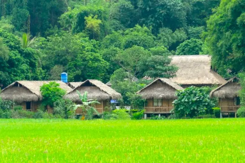 Châu Thành Bến Tre, điểm du lịch sinh thái xứ dừa nổi tiếng 5