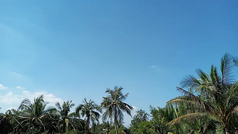 Cồn Đất An Hiệp v&agrave; trải nghiệm du lịch sinh th&aacute;i độc đ&aacute;o 7