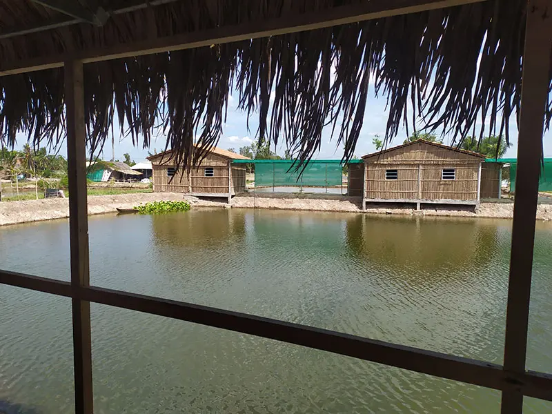 Cồn Đất An Hiệp v&agrave; trải nghiệm du lịch sinh th&aacute;i độc đ&aacute;o 6