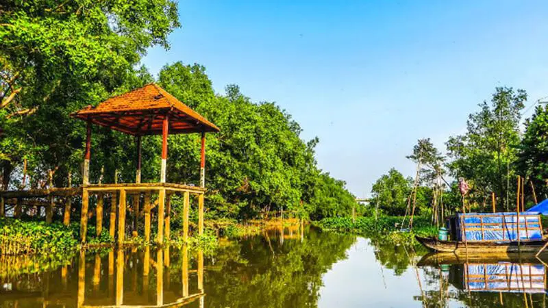 Cồn Ốc Bến Tre v&agrave; vẻ đẹp đậm chất hoang sơ, thanh b&igrave;nh 2