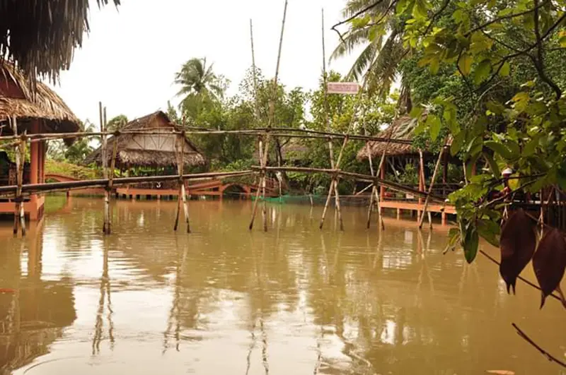 Cồn Quy Bến Tre v&agrave; kh&ocirc;ng gian thanh b&igrave;nh đậm chất s&ocirc;ng nước 5