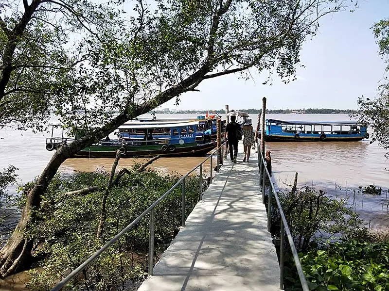 Cồn Quy Bến Tre v&agrave; kh&ocirc;ng gian thanh b&igrave;nh đậm chất s&ocirc;ng nước 4