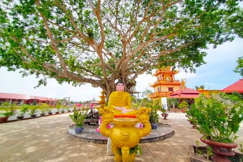 Đến Ch&ugrave;a Vạn Phước Bến Tre kh&aacute;m ph&aacute; ti&ecirc;n cảnh trần gian 2