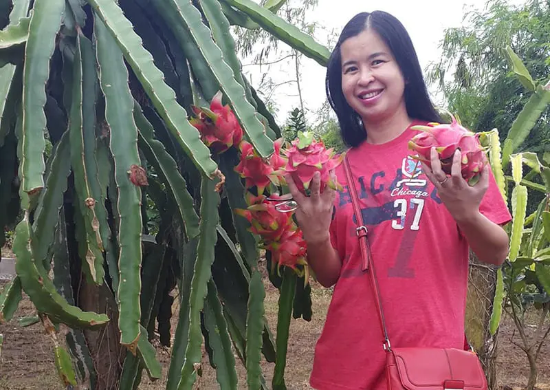 Đến Sân chim Vàm Hồ chiêm ngưỡng vẻ đẹp thiên nhiên kỳ thú 7