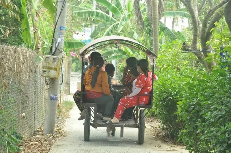Đến Vườn trái cây Bến Tre Bảo Thạch tận hưởng kỳ nghỉ cuối tuần 8