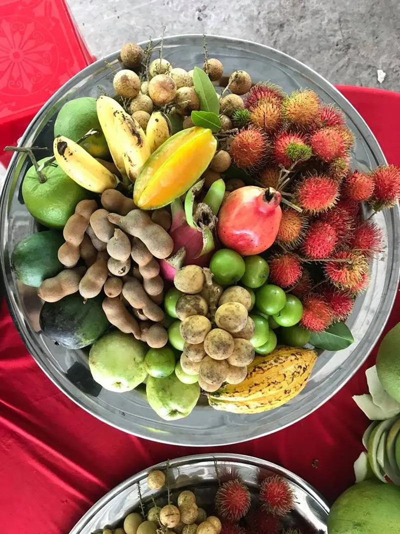 Đến Vườn trái cây Bến Tre Bảo Thạch tận hưởng kỳ nghỉ cuối tuần 6
