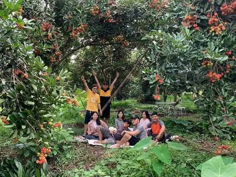 Đến Vườn tr&aacute;i c&acirc;y Ho&agrave;ng Tuấn thưởng thức đại tiệc hoa quả 3