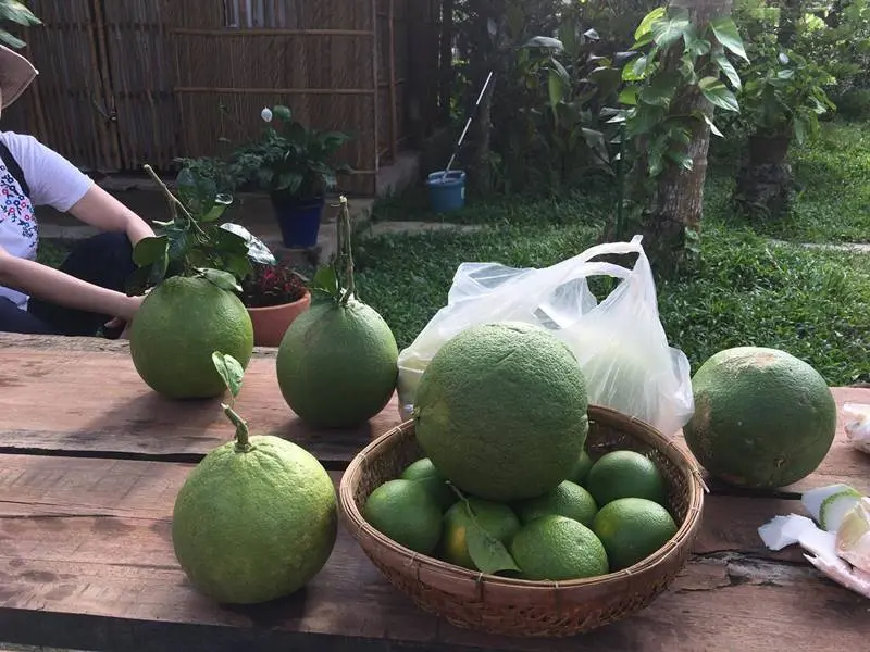 Đến Vườn tr&aacute;i c&acirc;y Ho&agrave;ng Tuấn thưởng thức đại tiệc hoa quả 7