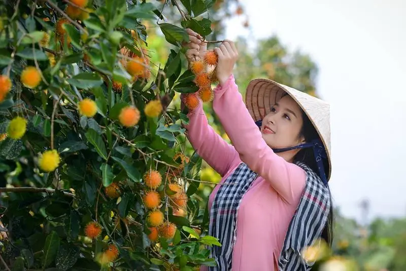 Đến Vườn tr&aacute;i c&acirc;y Ho&agrave;ng Tuấn thưởng thức đại tiệc hoa quả 2