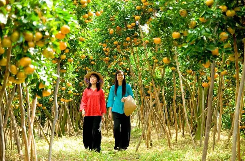 Du lịch miệt vườn Chợ Lách Bến Tre với 5 điểm đến hấp dẫn 3