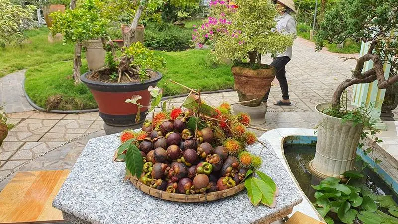 Farmstay Nguyễn Gia thiên đường vui chơi, nghỉ dưỡng hấp dẫn 8
