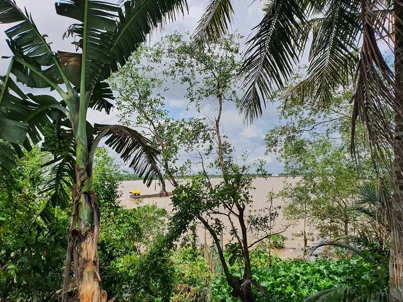 Farmstay Nguyễn Gia thiên đường vui chơi, nghỉ dưỡng hấp dẫn 5