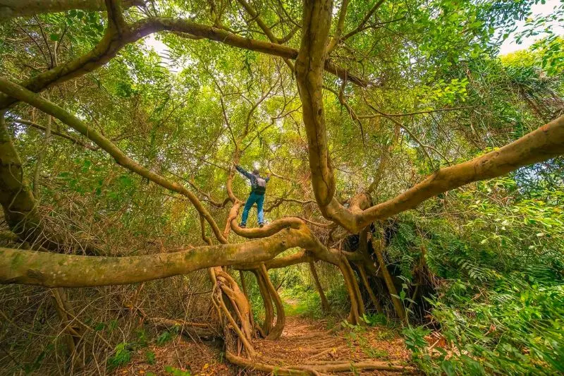 Gh&eacute; Ba Tri Bến Tre kh&aacute;m ph&aacute; n&eacute;t đẹp lịch sử văn h&oacute;a 4