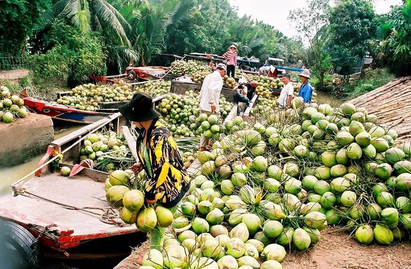 Huyện Mỏ C&agrave;y Nam Bến Tre v&agrave; những điểm đến hấp dẫn bậc nhất 6
