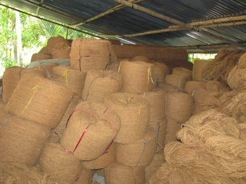 Huyện Mỏ C&agrave;y Nam Bến Tre v&agrave; những điểm đến hấp dẫn bậc nhất 8