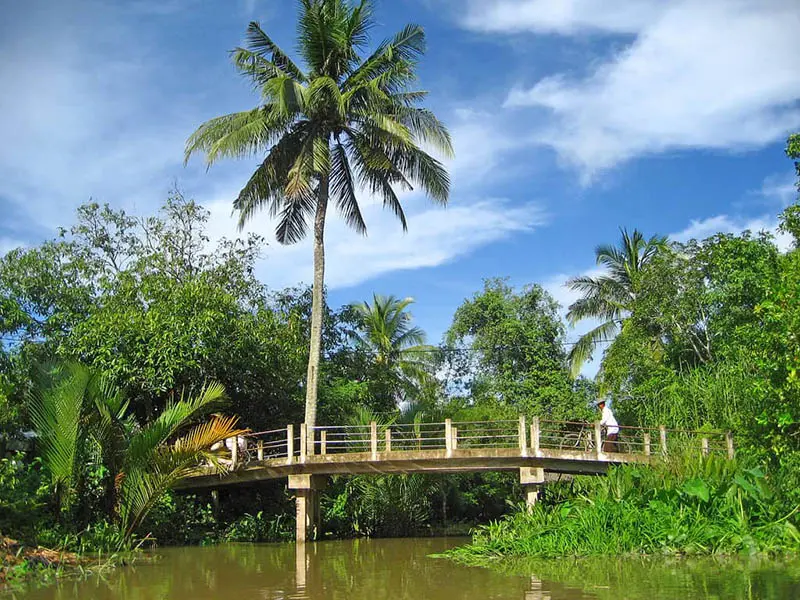 Huyện Mỏ C&agrave;y Nam Bến Tre v&agrave; những điểm đến hấp dẫn bậc nhất 2