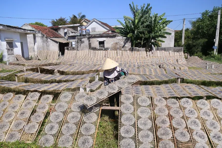 Kh&aacute;m ph&aacute; l&agrave;ng nghề b&aacute;nh tr&aacute;ng Mỹ Lồng, n&eacute;t đẹp truyền thống tại xứ dừa 6