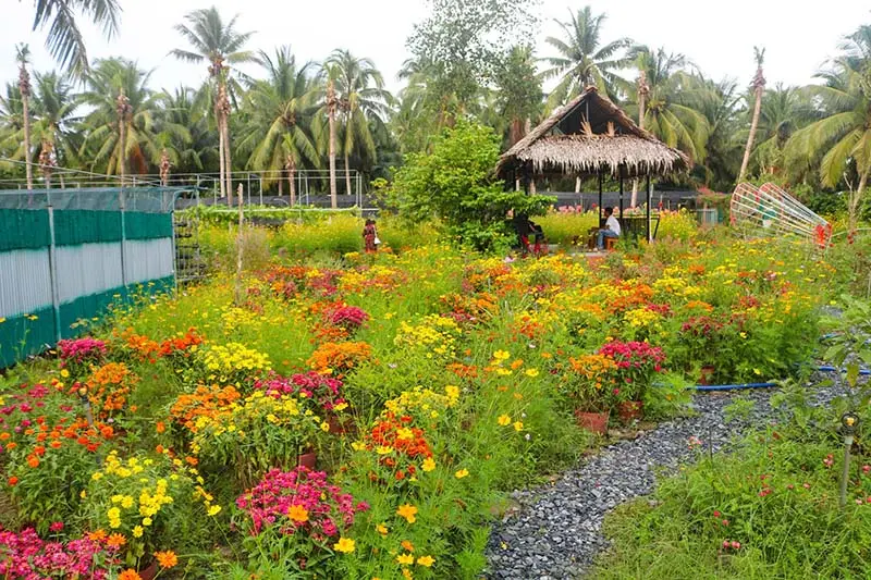 Khu du lịch Hạ Thảo, toạ độ vui chơi hấp dẫn tại Bến Tre 7