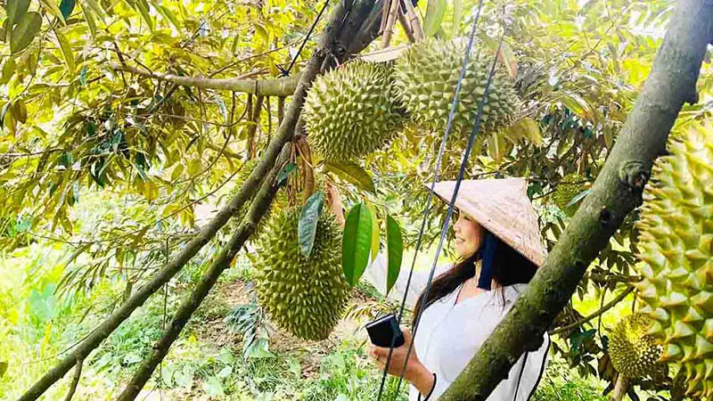 Khu du lịch L&agrave;ng B&egrave;, điểm dừng ch&acirc;n hấp dẫn cho dịp h&egrave; n&agrave;y 10