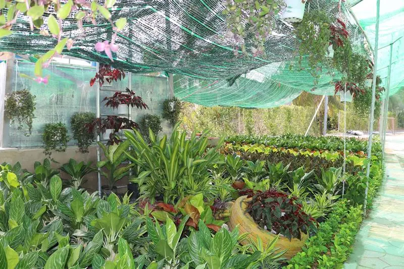 Khu du lịch Làng Xanh Bến Tre, tọa độ thư giãn dịp cuối tuần 3