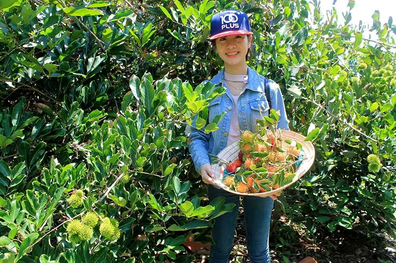 Khu du lịch miệt vườn Qu&ecirc; Ta, thi&ecirc;n đường c&acirc;y tr&aacute;i miền T&acirc;y 8