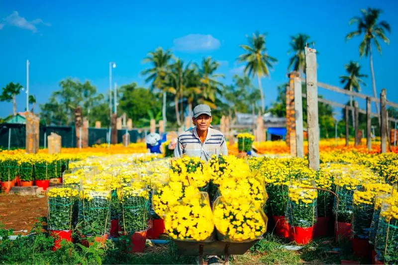 Làng hoa kiểng Cái Mơn - Chợ Lách đẹp từ thành phẩm cho đến cái nghề 5