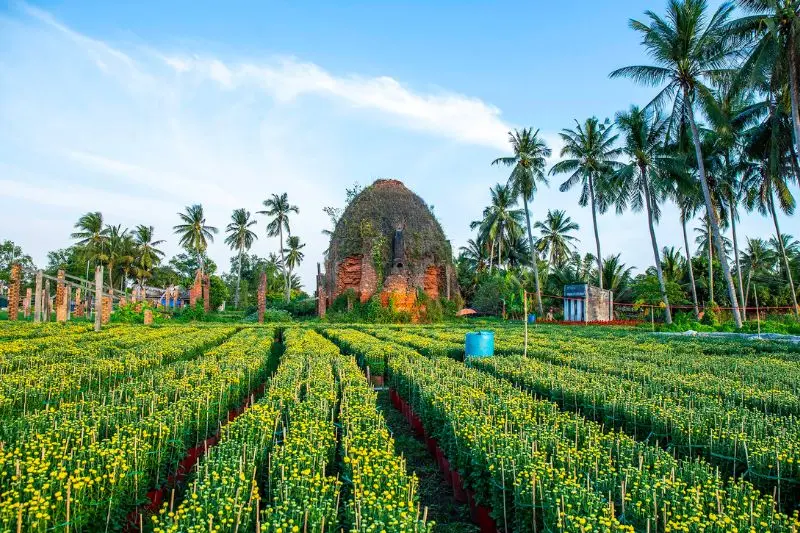 Làng hoa kiểng Cái Mơn - Chợ Lách đẹp từ thành phẩm cho đến cái nghề 9