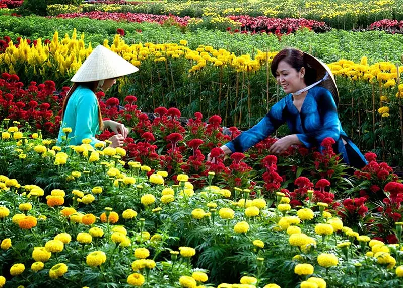 Mỏ Cày Bắc, địa danh du lịch sinh thái nổi tiếng ở Bến Tre 8