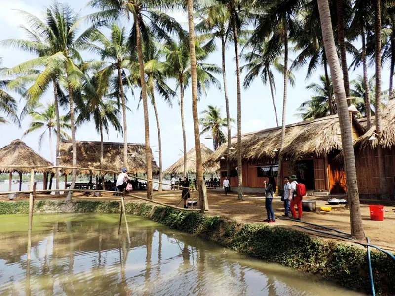 Mỏ Cày Bắc, địa danh du lịch sinh thái nổi tiếng ở Bến Tre 5