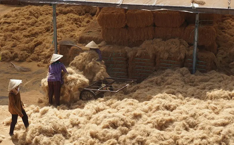 Mỏ Cày Bắc, địa danh du lịch sinh thái nổi tiếng ở Bến Tre 7