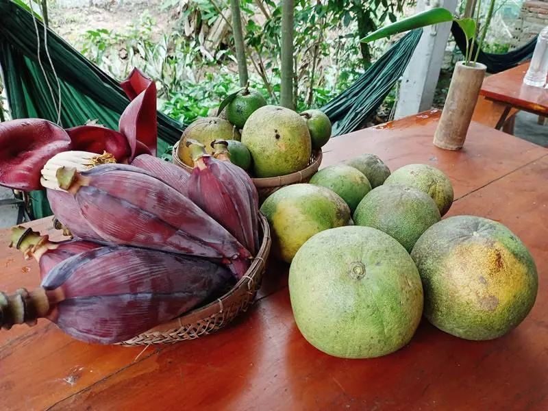 N&ocirc;ng Trại Thảnh Thơi, tọa độ farmstay độc đ&aacute;o tại Bến Tre 8