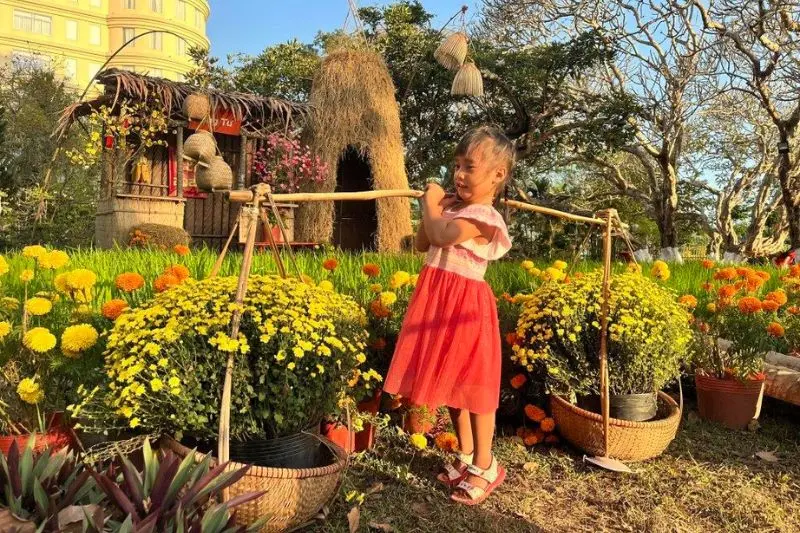 Thăm Bảo t&agrave;ng Bến Tre kh&aacute;m ph&aacute; lịch sử văn h&oacute;a xứ dừa 8