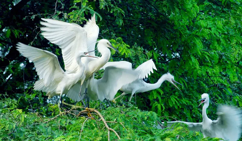 Top 15+ địa điểm tham quan tại Bến Tre nhất định phải gh&eacute; 10