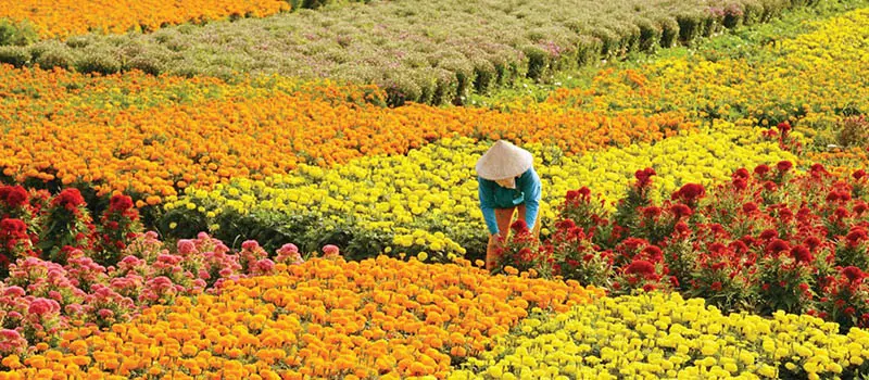 Top 15+ địa điểm tham quan tại Bến Tre nhất định phải gh&eacute; 16