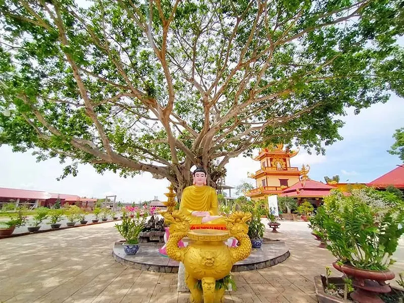 Top ch&ugrave;a nổi tiếng ở Bến Tre nhất định n&ecirc;n gh&eacute; thăm một lần 3