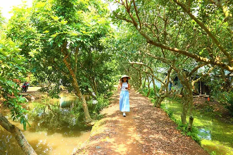 Về Cù lao Tam Hiệp du ngoạn phong cảnh sông nước hữu tình 5