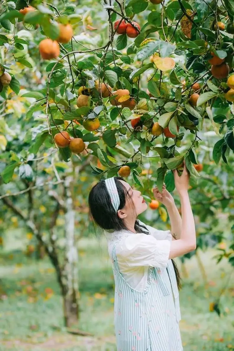 Vườn tr&aacute;i c&acirc;y C&aacute;i Mơn, tọa độ giải nhiệt ng&agrave;y nắng n&oacute;ng 3