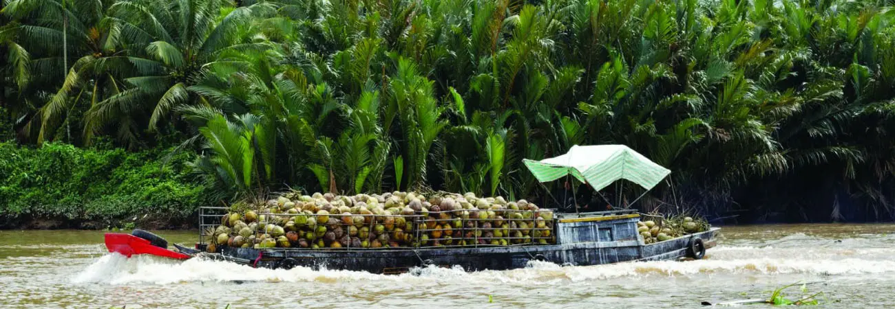 Mỏ Cày Bắc, địa danh du lịch sinh thái nổi tiếng ở Bến Tre
