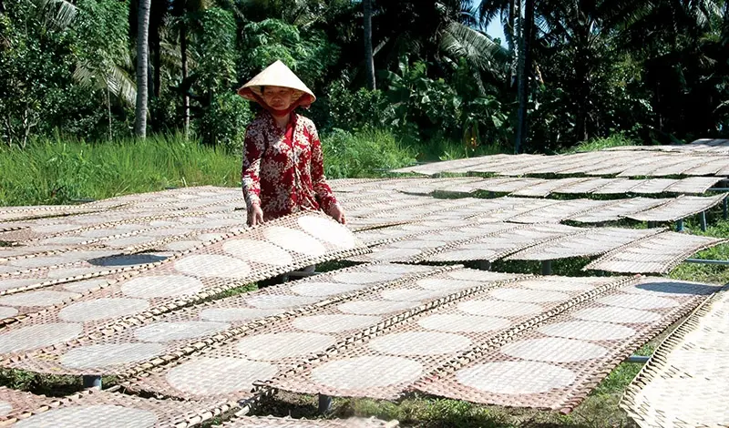 Đặc sản Bến Tre c&oacute; g&igrave; ngon? 15 m&oacute;n trứ danh ăn l&agrave; nhớ m&atilde;i 6
