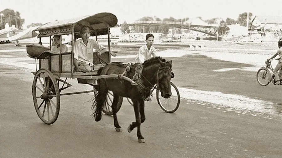 Ngồi xe ngựa kh&aacute;m ph&aacute; Bến Tre, sao lại kh&ocirc;ng t&iacute;n đồ du lịch ơi 2