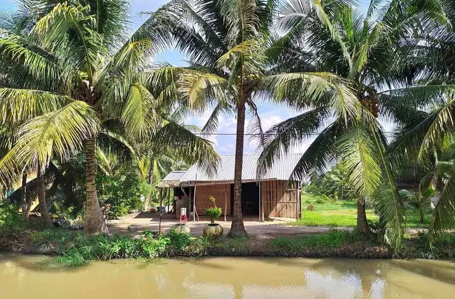 Bộ ảnh review xứ dừa Bến Tre với vẻ đẹp b&igrave;nh y&ecirc;n miền th&ocirc;n d&atilde; 4