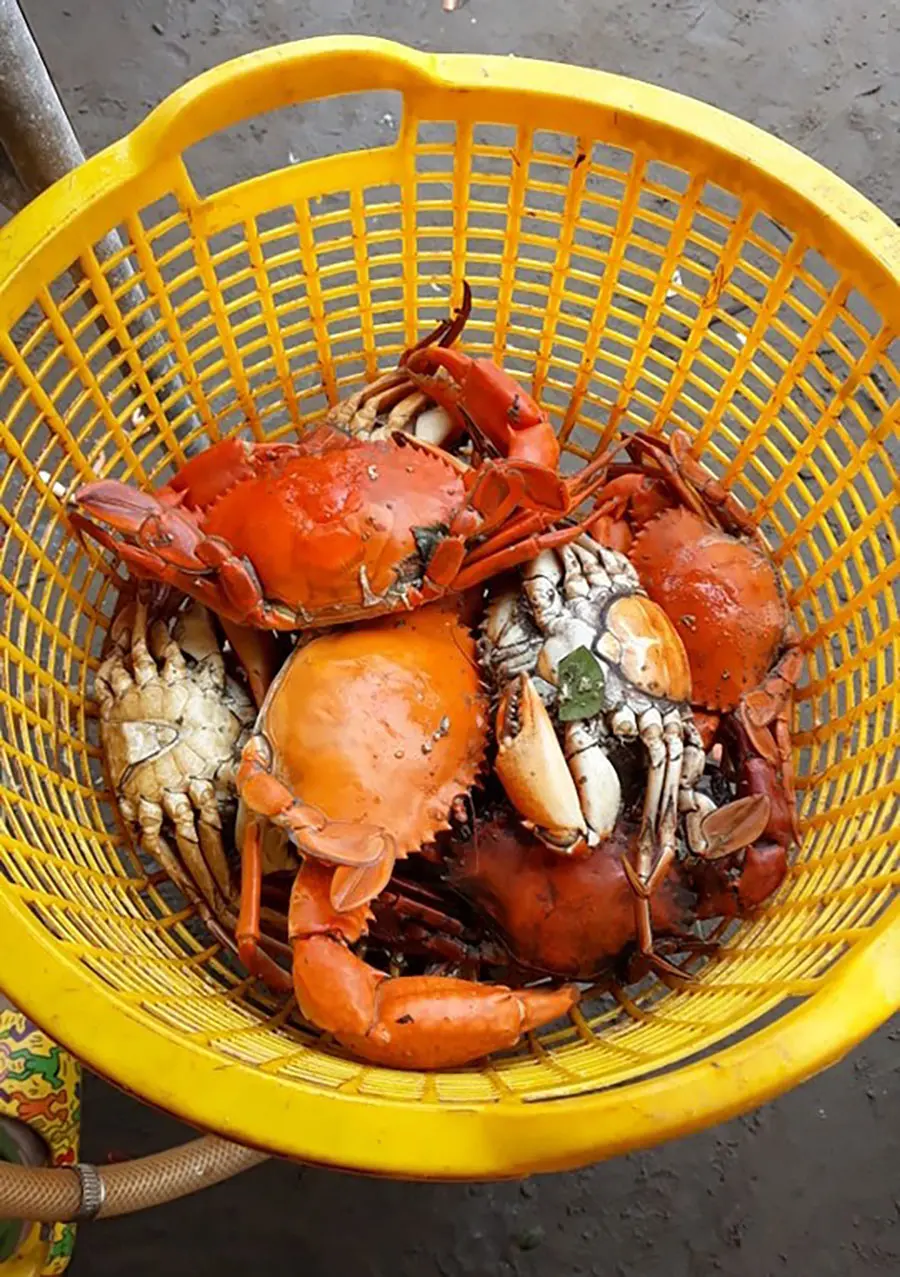Review đi biển Thạnh Phú ăn hải sản ngon, rẻ cùng cô bạn Huyền Nhi 4
