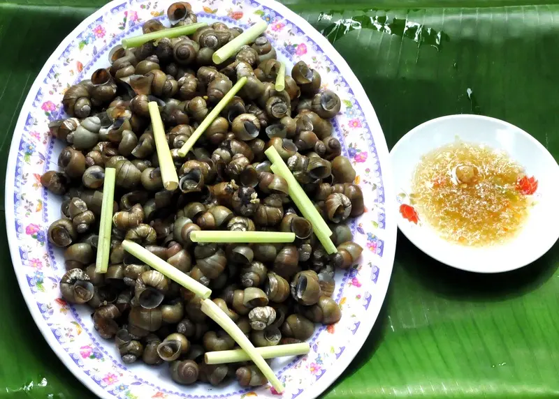 Xứ dừa Bến Tre c&oacute; g&igrave; chơi m&agrave; khiến bao người n&ocirc; nức gh&eacute; thăm? 4
