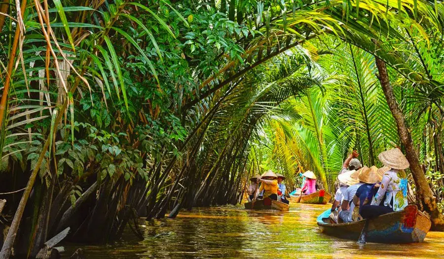 Lịch tr&igrave;nh 1 ng&agrave;y kh&aacute;m ph&aacute; Bến Tre dưới t&aacute;n dừa xanh m&aacute;t 4