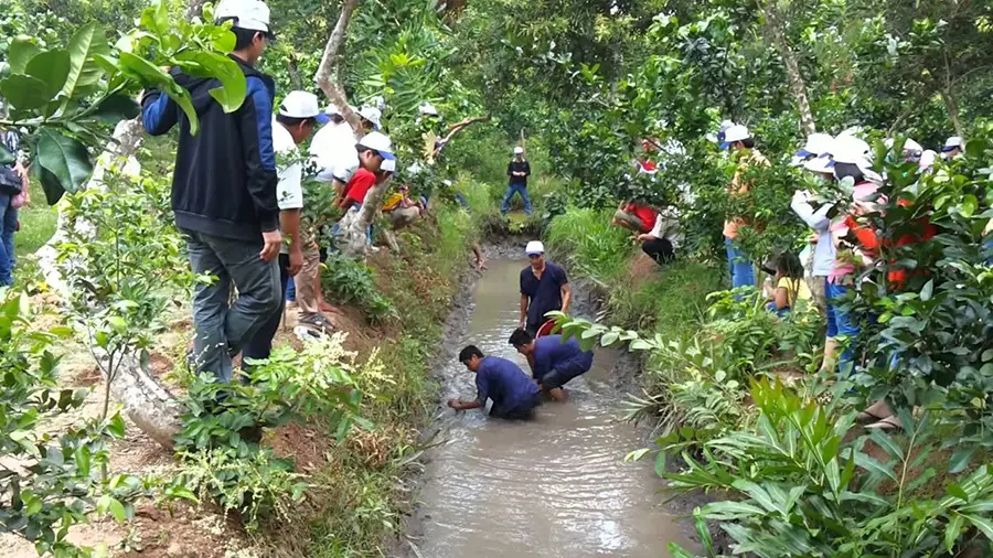 Lịch trình khám phá Bến Tre 2 ngày 1 đêm với nhiều kỷ niệm đáng nhớ 4
