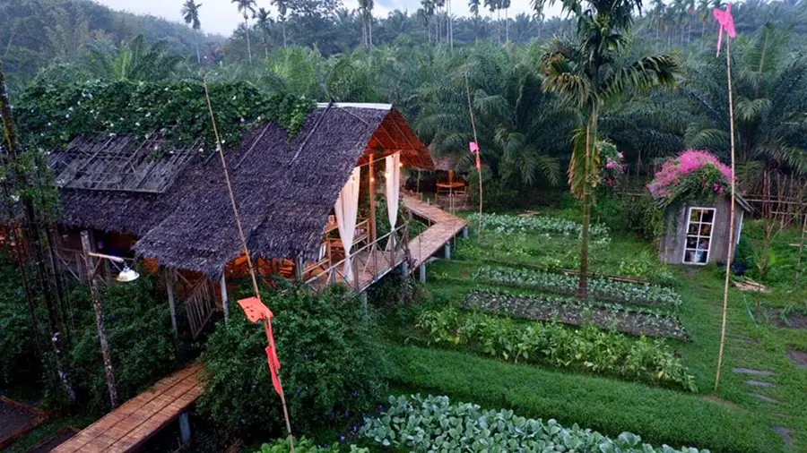 Lịch trình khám phá Bến Tre 2 ngày 1 đêm với nhiều kỷ niệm đáng nhớ 3