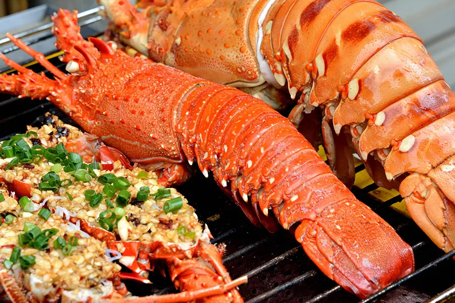 M&aacute;ch bạn tour Bến Tre 1 ng&agrave;y với v&ocirc; số trải nghiệm cực th&uacute; vị 5